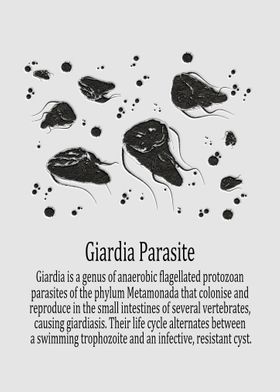 Giardia Parasite