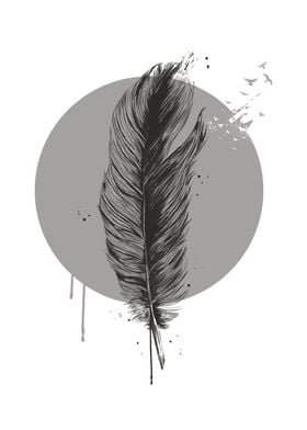 Feather in a circle bw