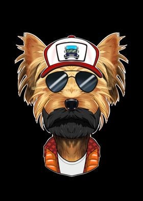 Trucker Yorkshire Terrier