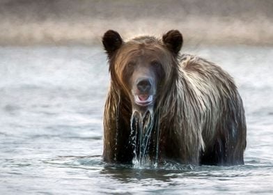 Water Beard