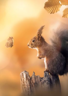 Squirrel Meets Butterfly