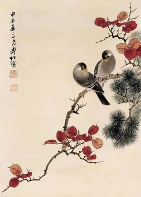 Couple Asian Birds