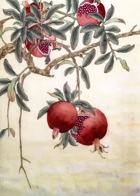 Pomegranate Vintage