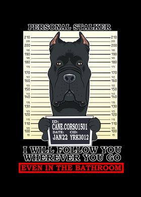 Cane Corso Stalker