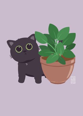 Plant Peeker