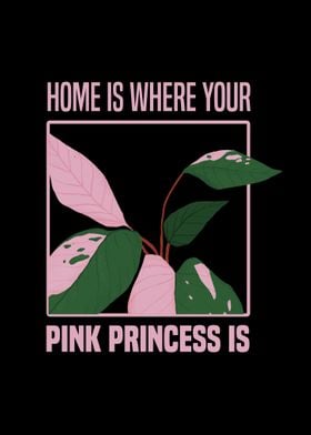 Pink Princess Plants Gifts