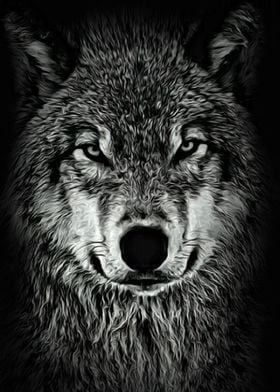 Cool Wolf Staring