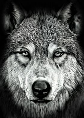 Cool Wolf Stare