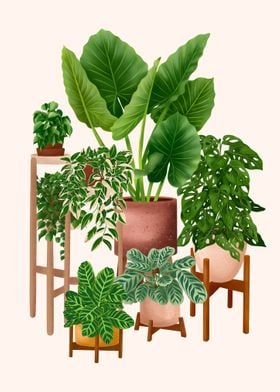 Potted Plants 9