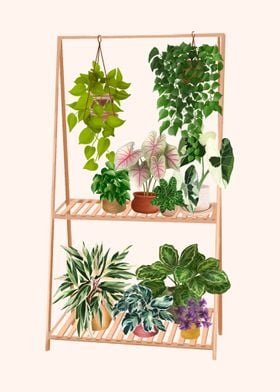Plant Shelf 8