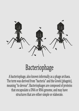 Bacteriophage