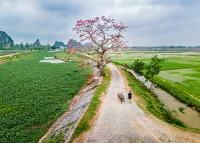 Nice countryside landscape