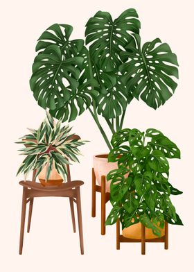 Potted Plant Friends