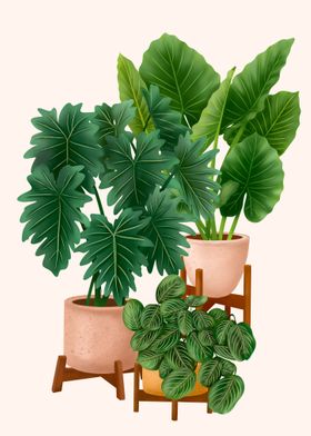 Potted Plants 8