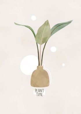 Plant time