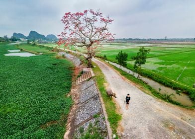 Nice countryside landscape