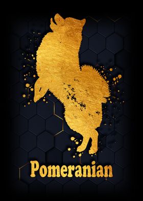 Pomeranian