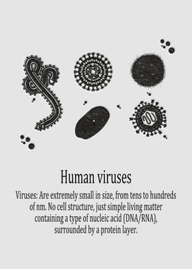 Human viruses