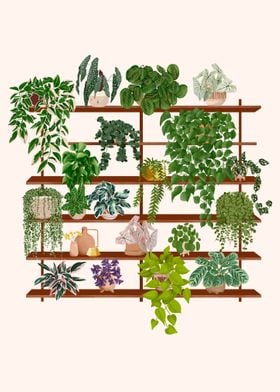 Plant Shelf 6