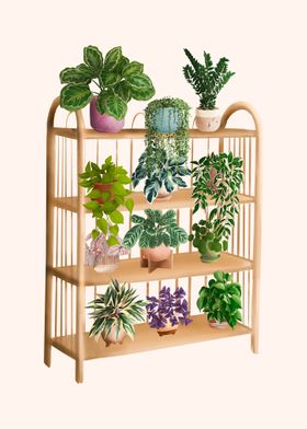 Plant Shelf 5