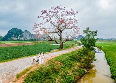 Nice countryside landscape