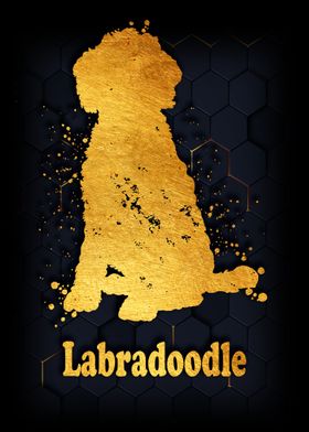 Labradoodle