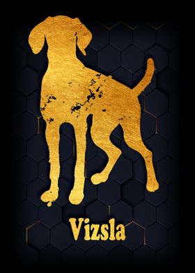 Vizsla