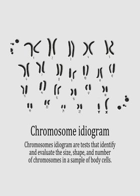 Chromosome idiogram