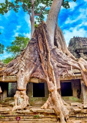 Ta Prohm