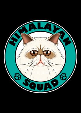 Himalayan Squad I Cat