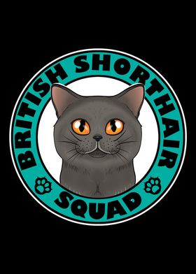 British Shorthair Squad I