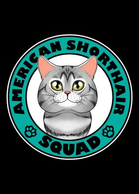 American Shorthair Squad