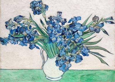 Vincent Van Gogh Irises