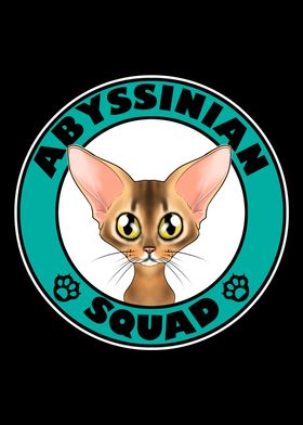 Abyssinian Squad I Cat