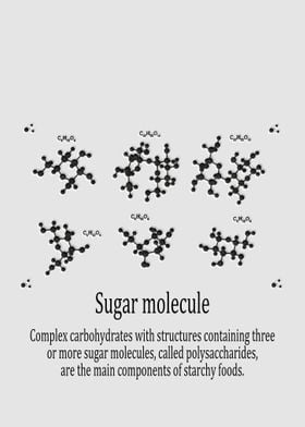 Sugar molecule