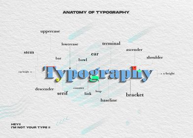 Typography