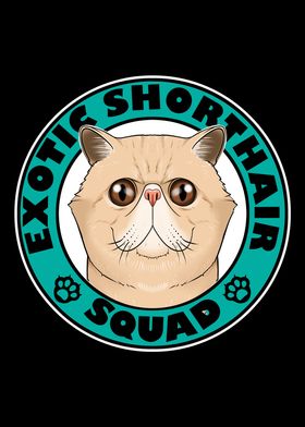 Exotic Shorthair Squad I