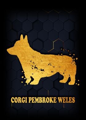 Corgi Pembroke Wales