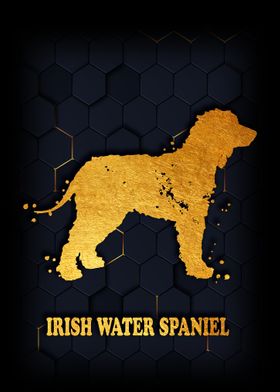 IRISH WATER SPANIEL 