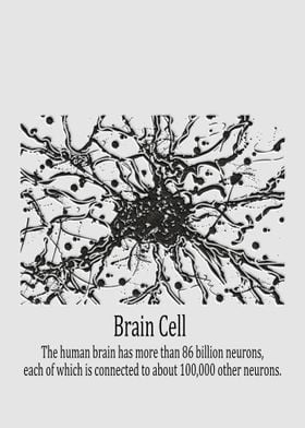 Brain Cell