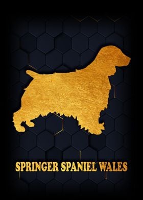 SPRINGER SPANIEL WALES