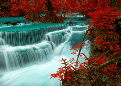 Japaneese Red Waterfall