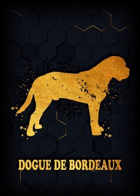 DOGUE DE BORDEAUX