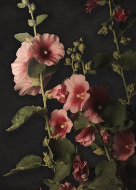 Vintage Hollyhocks