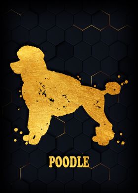 POODLE