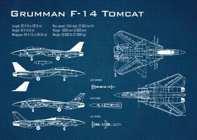 F14 Tomcat  aircraft