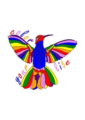 Rainbow Hummingbird