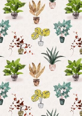 Potted Plants 