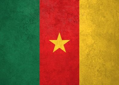 Flag of Cameroon on Wall