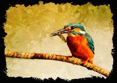 Kingfisher